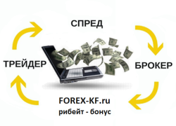   IB Forex-kf